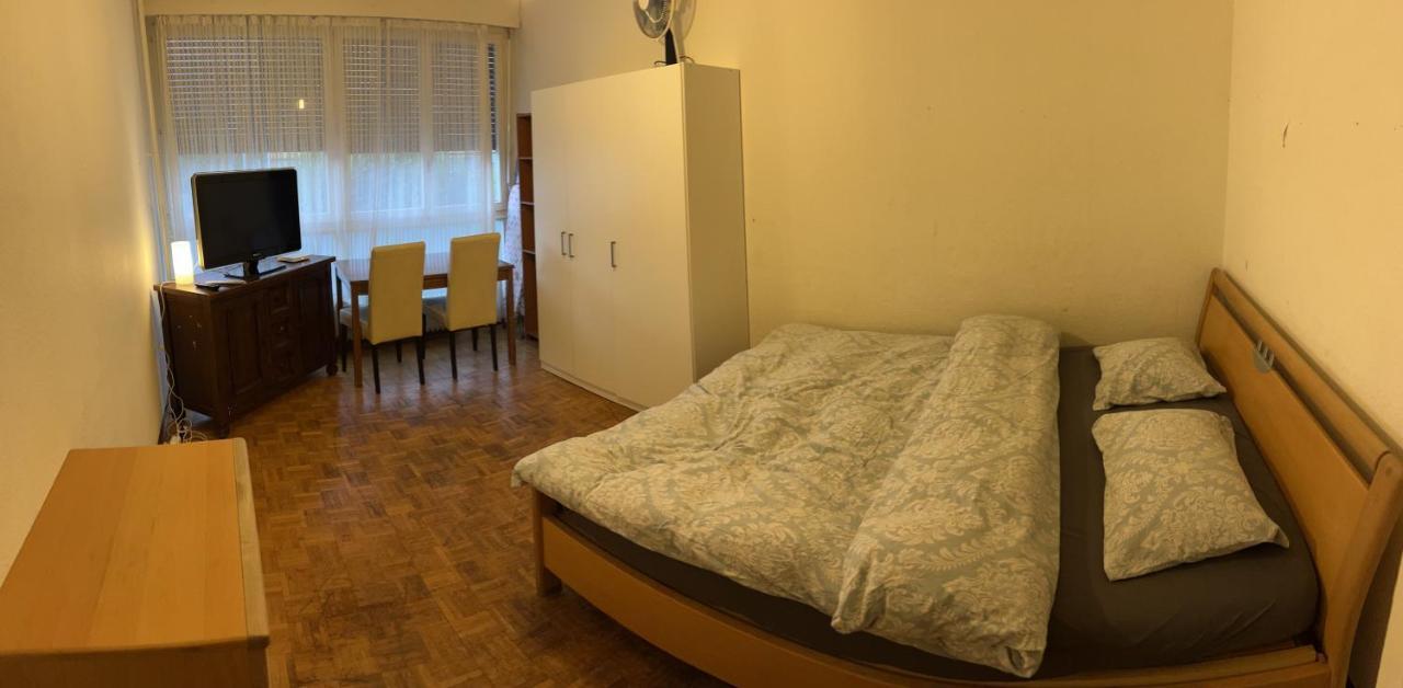 2 Bedroom Flat Near Nations And In The Center Cenevre Dış mekan fotoğraf