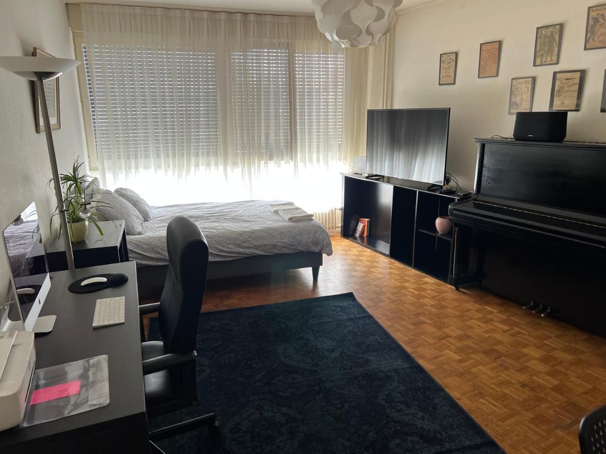 2 Bedroom Flat Near Nations And In The Center Cenevre Dış mekan fotoğraf