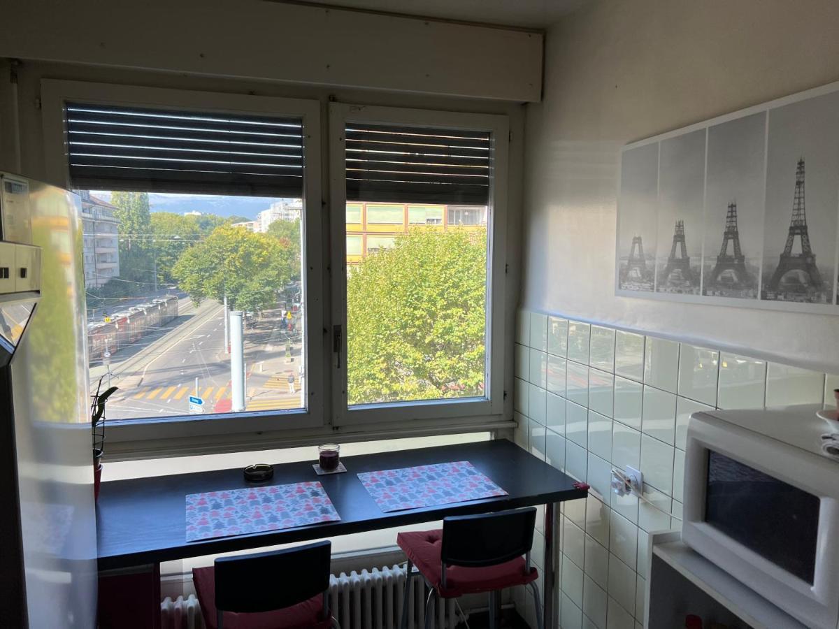 2 Bedroom Flat Near Nations And In The Center Cenevre Dış mekan fotoğraf